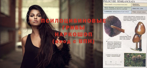 спиды Медногорск