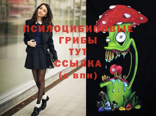 спиды Медногорск