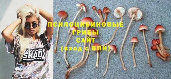 спиды Медногорск