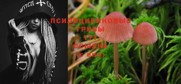 дурь Мегион